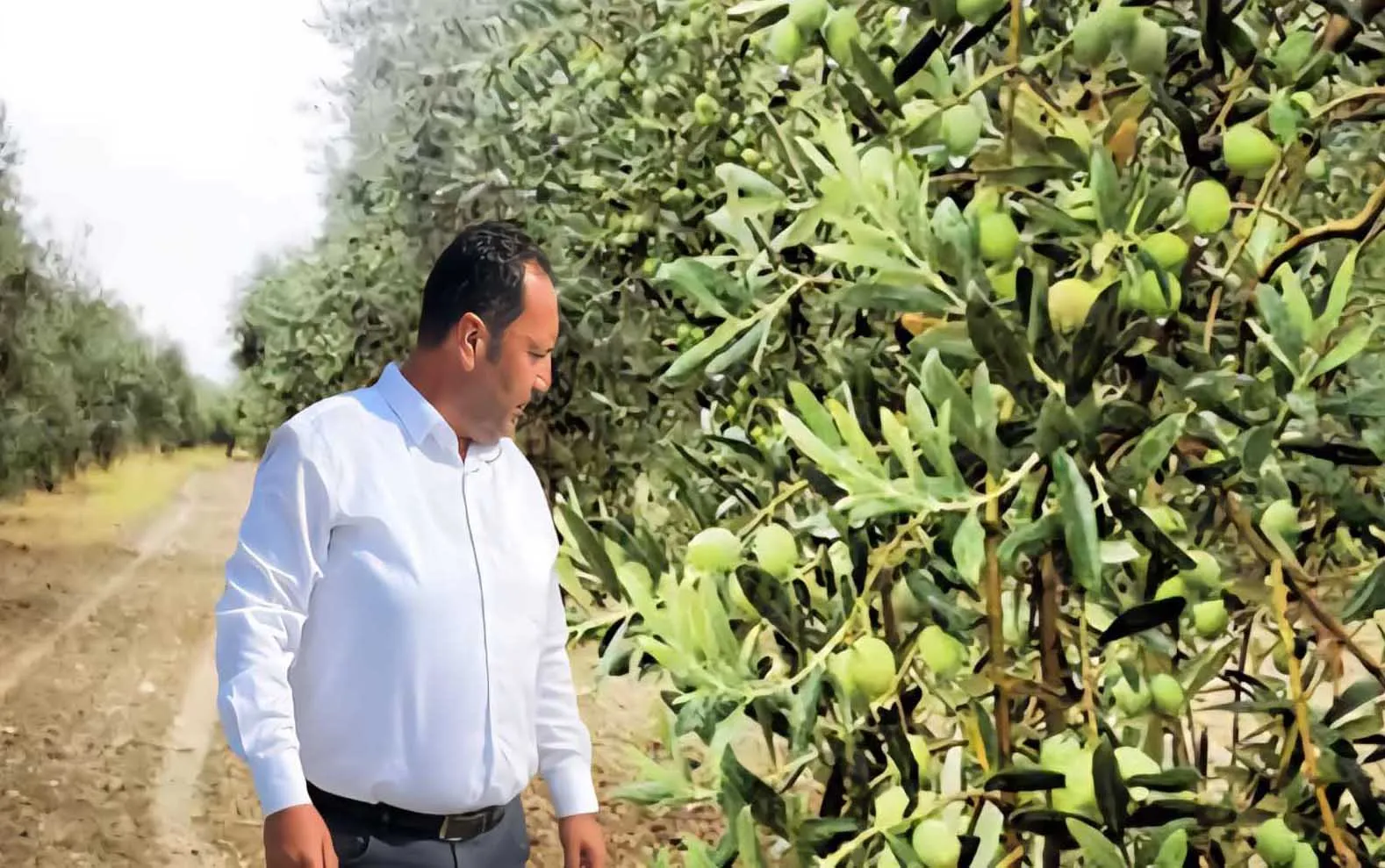 TARSUS TİCARET BORSASI, ZEYTİN VE ZEYTİNYAĞI SEKTÖR SORUNLARINI MASAYA YATIRDI